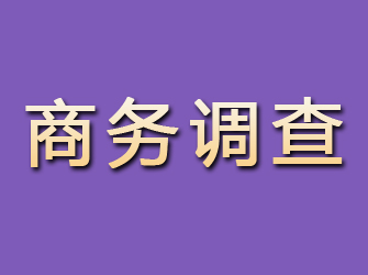 澧县商务调查